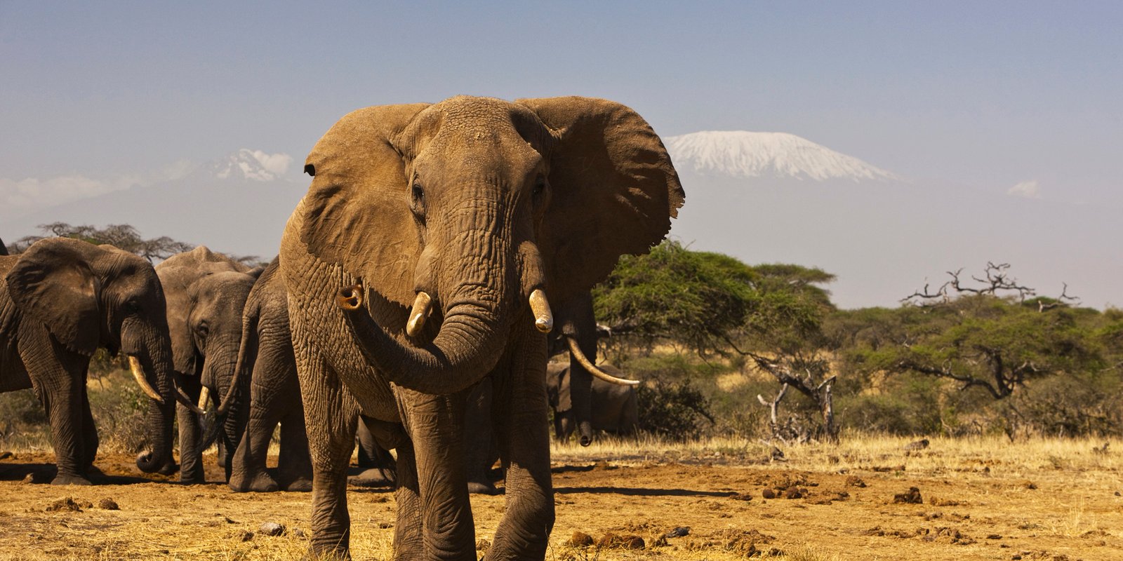 Amboseli