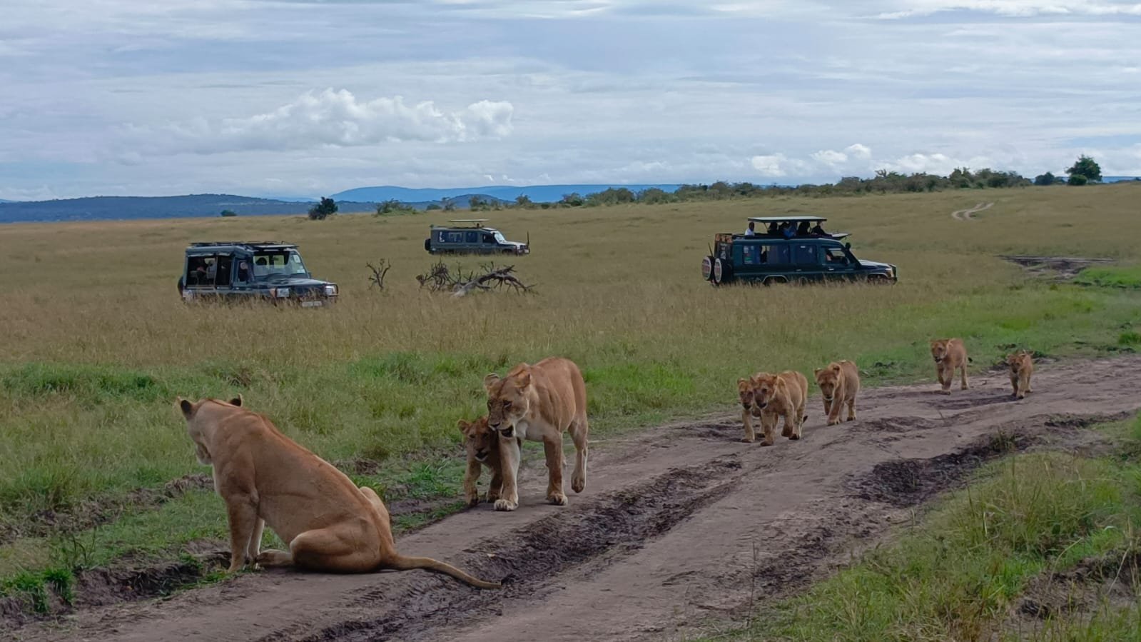 Amboseli national park 