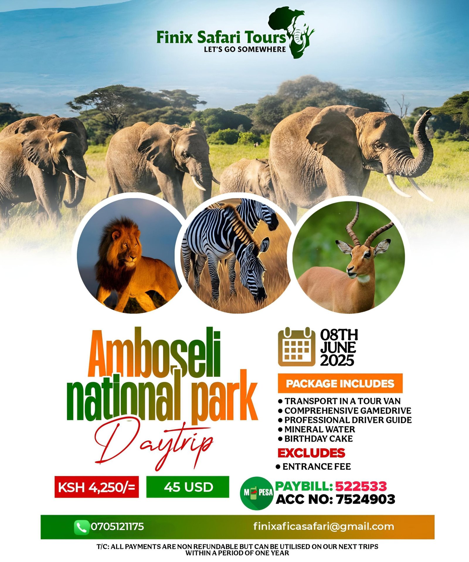 AMBOSELI NATIONAL PARK 